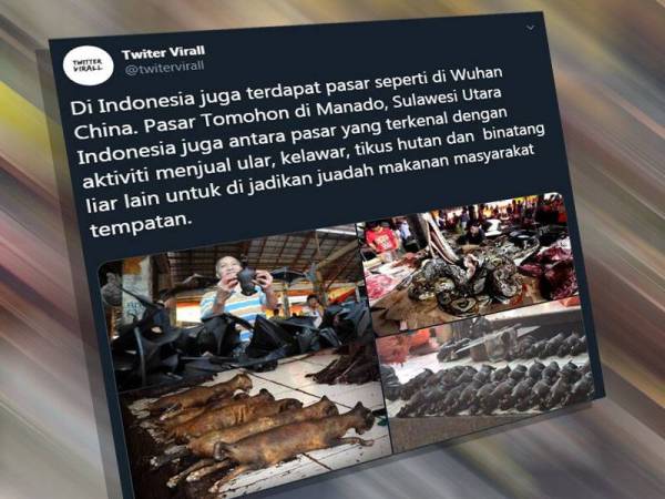 Koronavirus Pasar Tomohon Lebih Ekstrim Dari Wuhan