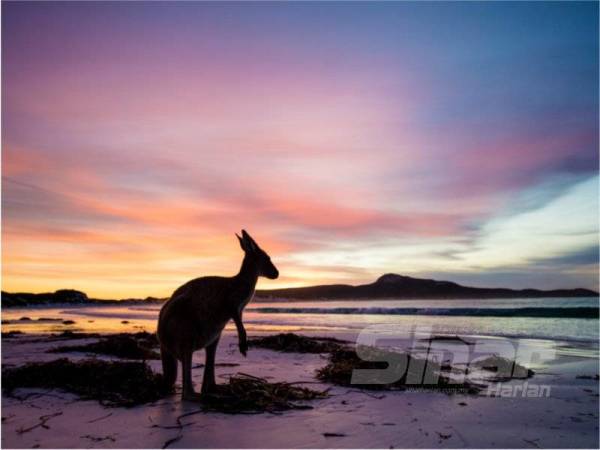 LOKASI tarikan Golden Outback di Australia Barat.