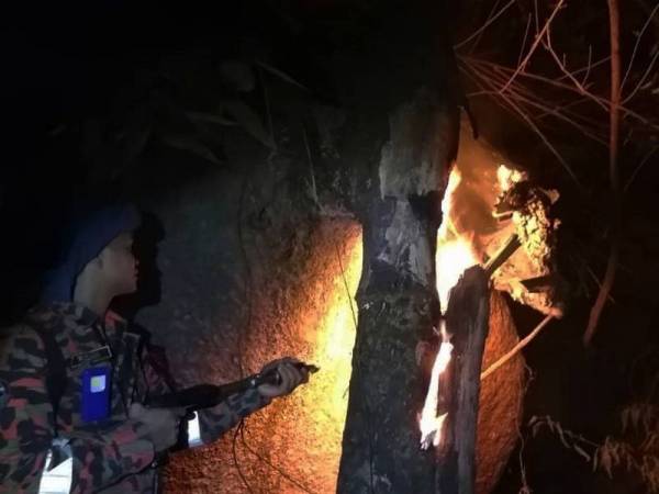 Lebih dua hektar hutan di kawasan antara Bukit Bendera ke Kek Lok Si Air Itam terbakar berikutan pembakaran terbuka longgokan pokok yang ditebang malam tadi. - Foto Bernama