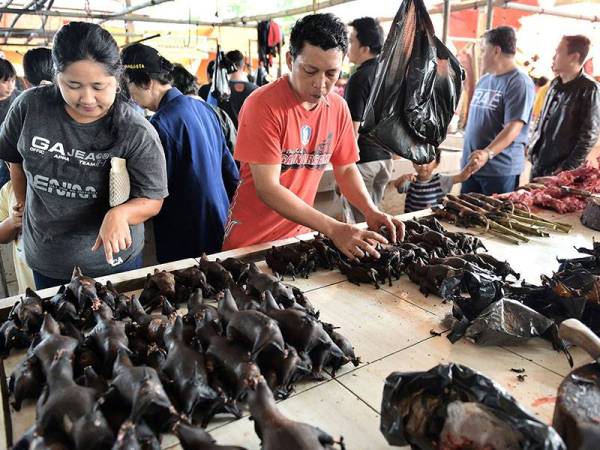 Pelanggan memilih daging kelawar yang dijual di Pasar Tomohon di Sulawesi Utara.