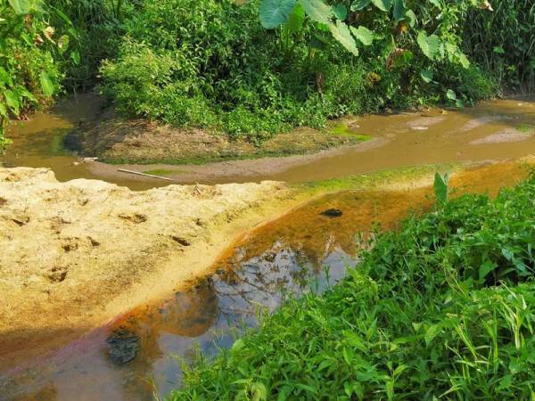 Punca pencemaran sungai dapat dilihat pertembungan air sungai yang jernih dan sisa najis.