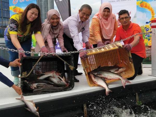 Dari kanan, Muhammad Fauzi, Hasliza, Mohd Nazam dan Tessy Low (kiri) melepaskan spesies ikan patin di Taman Tasik Metropolitan Kepong sempena penganjuran CPKL 2020 Ahad ini.