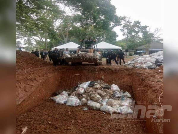 Surina melupuskan daun ketum yang dirampas pihak polis di Kuarters Perumahan IPD Padang Besar hari ini. 