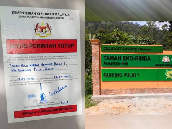 Taman Eco Rimba Gunung Pulai 1.