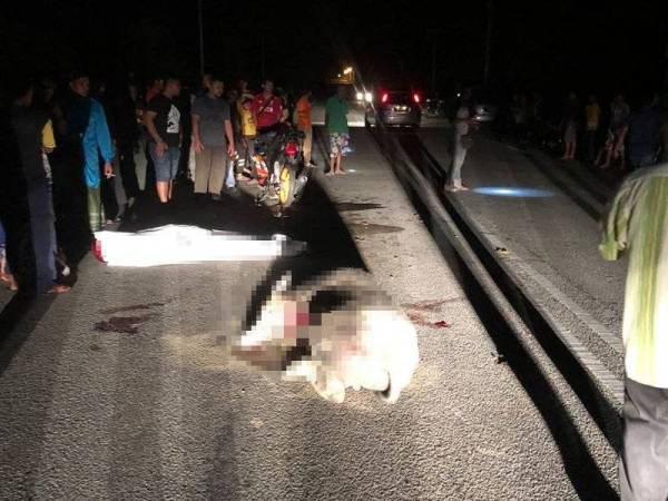 Mangsa maut di tempat kejadian selepas melanggar seekor kerbau di Kilometer 4 Jalan Kampung Gajah-Tanjung Tualang, malam tadi.