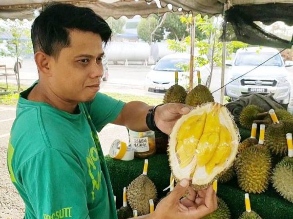 Mohammad Rosul menunjukkan durian Musang King yang dijualnya pada harganya sekitar RM30 hingga RM60 bergantung pada gred dan saiz.