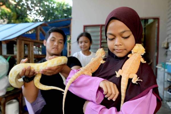 Amirul Hakimi menunjukkan iguana yang bela di rumahnya.