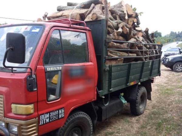 Hasil kayu dianggarkan bernilai RM500 yang diangkut dengan sebuah lori. -Foto JPNK