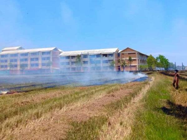 Keadaan sawah padi berdekatan Kampung Alor Merah, Jalan Sekolah, membabitkan kebakaran jerami seluas sembilan hektar, tengah hari tadi. Foto - Ehsan JBPM Kedah