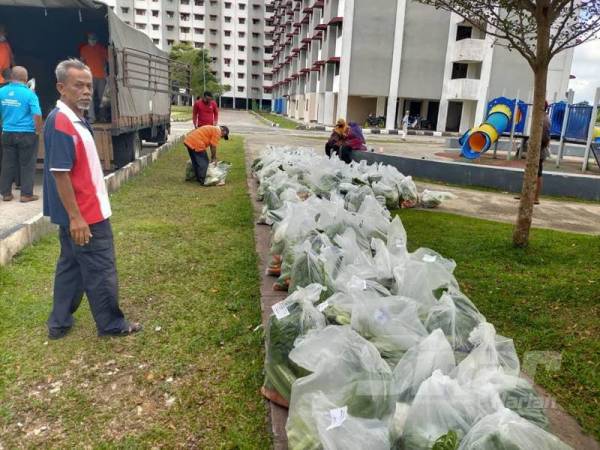 Penduduk di Flat Pak Mahad turut menerima bungkus sayur percuma hari ini.