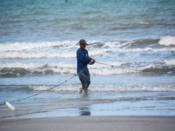 Menangkap Ikan Nelayan pantai memasang pukat untuk menangkap ikan 