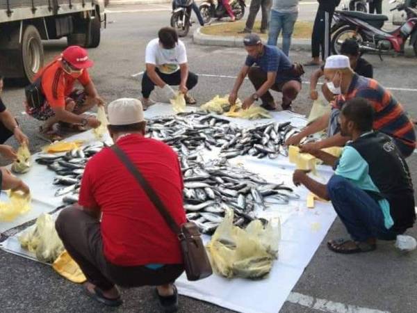 Ikan dimasukkan ke dalam plastik sebelum diagihkan. - Foto Ahmad Amzad Hashim