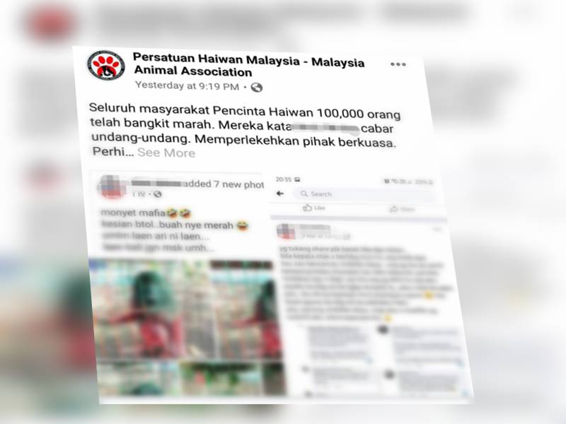 Paparan Facebook Persatuan Haiwan Malaysia mengecam tindakan pelaku.