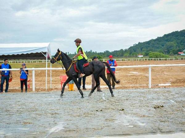 Pemilik kuda di Kelantan dinasihatkan untuk segera membuat rawatan jika kuda mereka tidak sihat bagi mengelak jangkitan AHS.