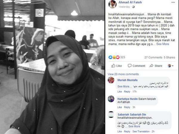 Paparan Facebook Ahmad tular di laman sosial.