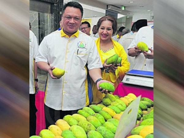 Tuanku Syed Faizuddin Putra Jamalullail menunjukkan buah mangga harumanis Perlis yang menjadi produk kebanggaan negeri itu.