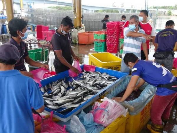 Abdul Rahim (tengah) meminta pekerjanya membungkus 1.5 kilogram pelbagai jenis ikan sebelum diagihkan kepada warga Kuantan.