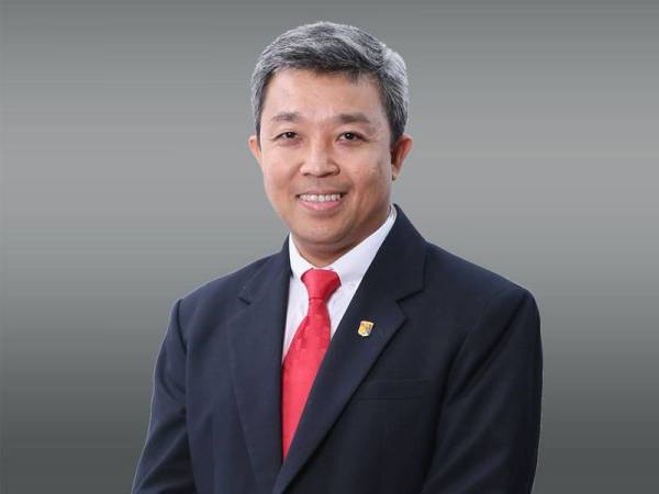 Profesor Datuk Ir Dr Mohd Hamdi Abdul Shukor