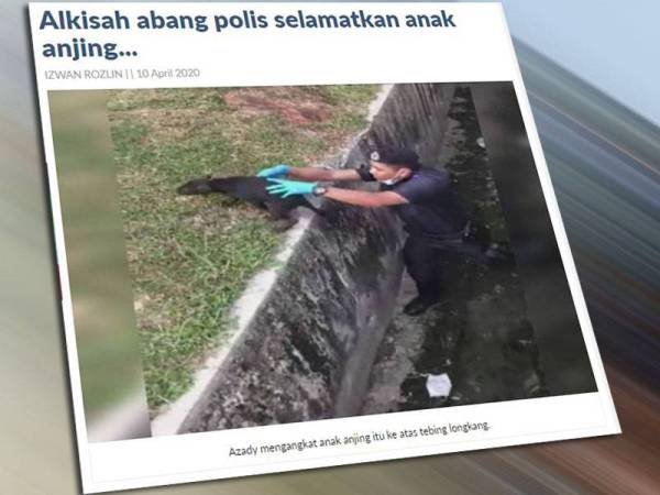 Sinar Harian sebelum ini melaporkan keprihatinan seorang anggota Polis Diraja Malaysia (PDRM) membantu menyelamatkan seekor anjing yang terperangkap dalam sebuah longkang besar, di sini mendapat perhatian netizen apabila rakaman video aksinya itu dimuat naik di laman sosial Facebook lalu tular.