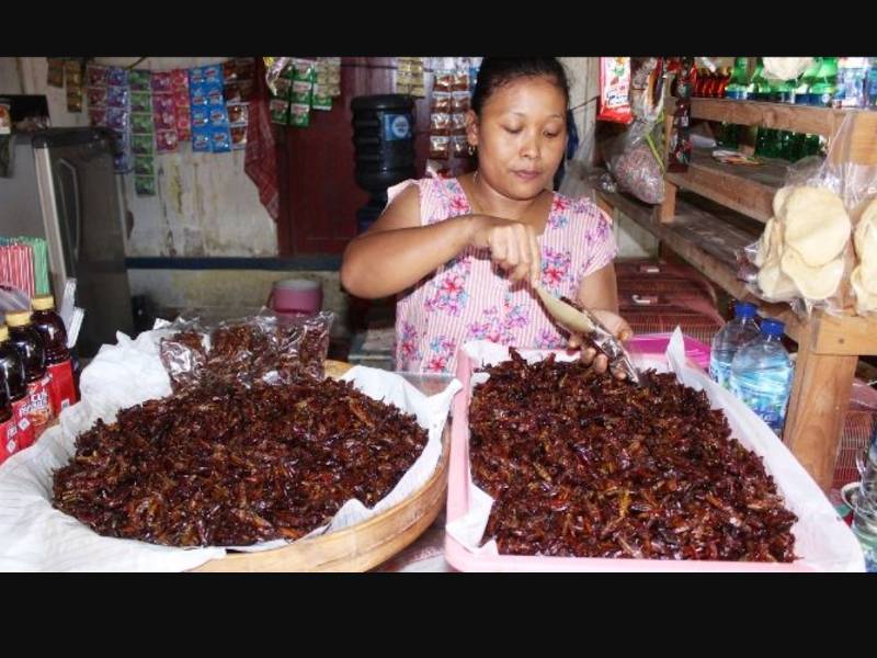 Belalang goreng yang dijual Yaman dan Anik di warungnya di kampung Marmoyo menjadi rebutan orang ramai. -Foto Jawa Post