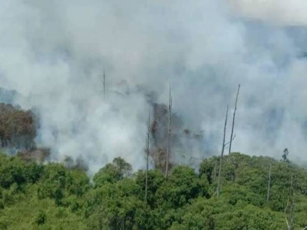 JBPM Selangor berdepan kesukaran bagi melaksanakan kerja pemadaman kebakaran hutan dianggarkan seluas 50 hektar di kompartmen 21 Hutan Simpan Kuala Langat Selatan, di sini. - Foto Ihsan Facebook Pangkalan Udara JBPM Subang