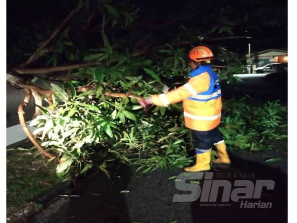 Anggota APM bersama beberapa agensi lain bertungkus-lumus mengalih pokok tumbang di kawasan ribut sejak malam tadi.