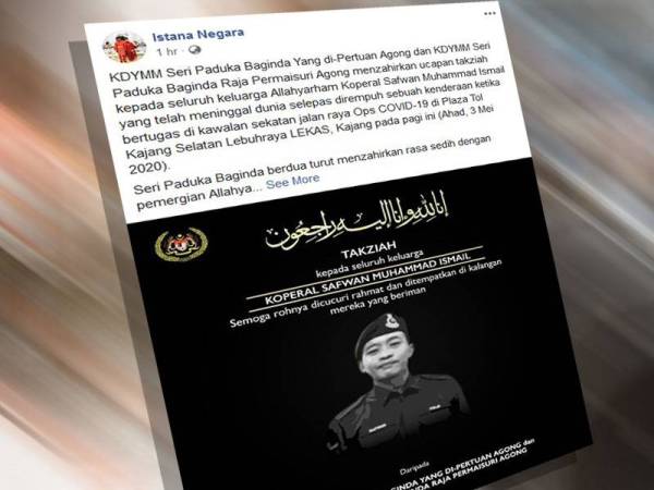 Hantaran di Facebook rasmi, Istana Negara