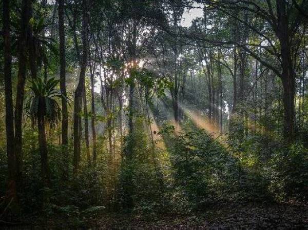 Jabatan Bomba dan Penyelamat Malaysia (JBPM) Pulau Pinang menjalankan operasi mencari dan menyelamat (SAR) seorang lelaki dikhuatiri sesat selepas mencari kulat di Bukit Seraya, di sini sejak semalam