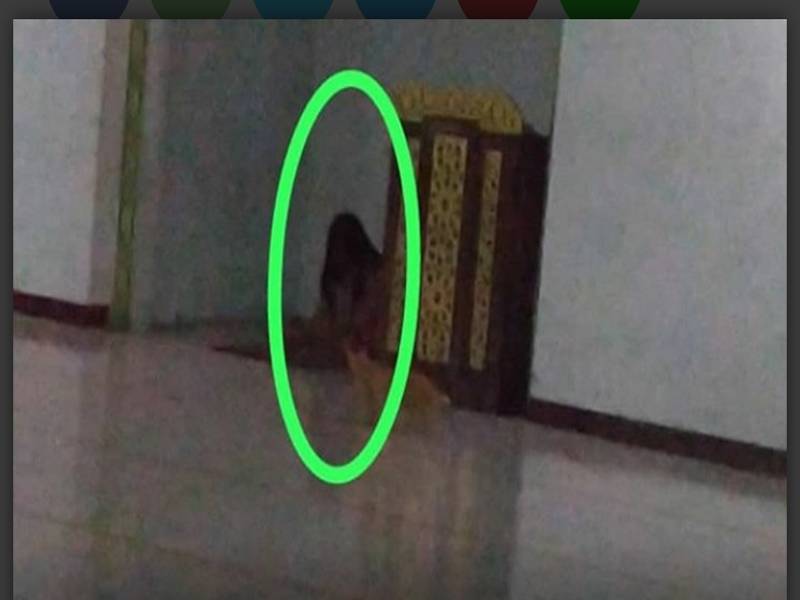 Kelibat wanita misteri ditemui di kampus Universiti Sultan Ageng Tirtayasa, Banten, Indonesia menjadi bualan hangat netizen.