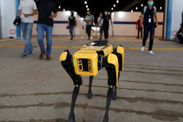 Singapura mengumumkan akan menghantar Spot, sebuah anjing robot yang dibangunkan Boston Dynamic's ke sebuah taman. Foto: Agensi