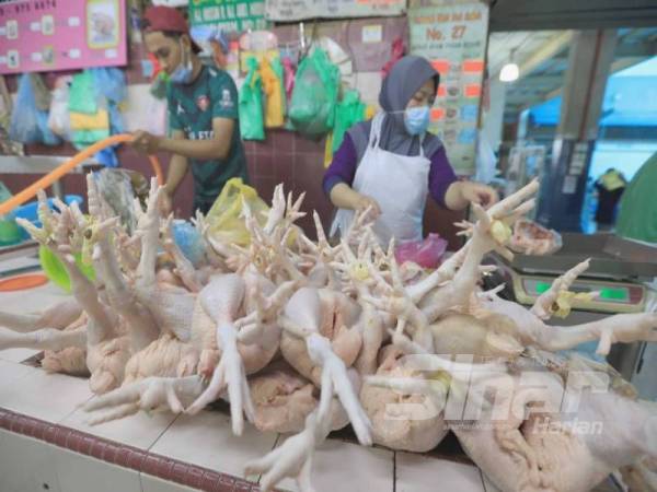 Peniaga ayam terpaksa menaikkan harga ayam susulan kenaikan daripada pemborong dan pemilik ladang yang mencecah RM8.50 sekilogram di Pasar Besar Kuantan.