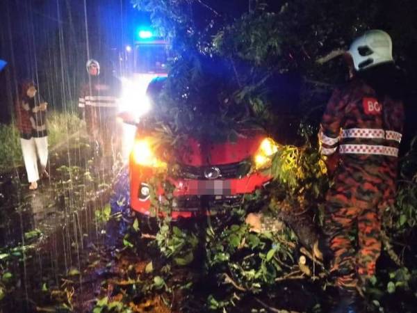 Keadaan kereta yang dihempap pokok mengkudu di Kampung Raja Pagoh, Muar malam tadi.