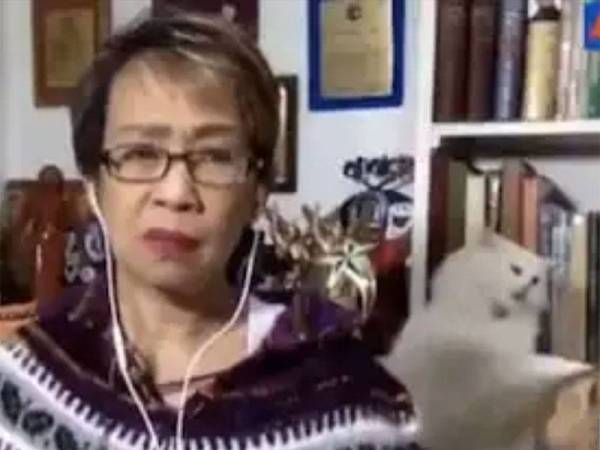 Doris cuba tenang walaupun dua ekor kucing bergaduh ketika 'live'.