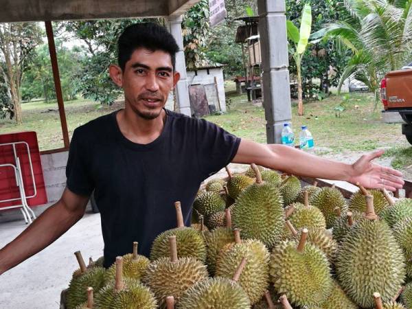 Abdul Hadi menunjukkan durian yang dijual secara COD ketika musim PKPB.