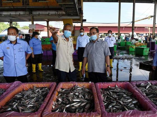 Ahmad (kanan) melihat ikan yang baru dinaikkan sempena lawatan kerja beliau di LKIM Kuantan semalam.