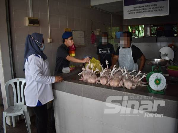 Iskandar Halim ketika meninjau sekitar Pasar Kuala Pilah.