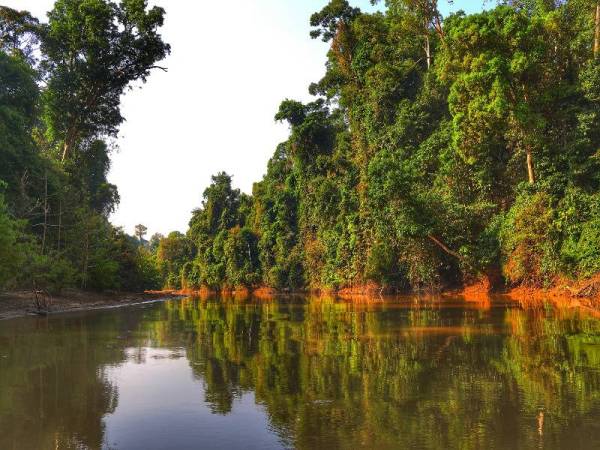 Hutan Ulu Muda dikatakan mempunyai nilai yang jauh lebih besar daripada RM1.5 bilion dari segi sosioekonomi.