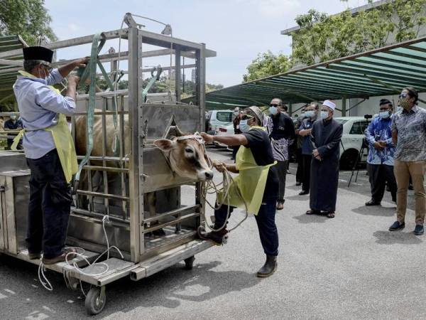 Khairy Jamaluddin (kanan) dan Dr Zulkifli (tiga dari kanan) menyaksikan demonstrasi inovasi penyembelihan lembu menggunakan sangkar penyembelihan mudah alih yang dicipta oleh inovator Hamzan Hashim dari Arau, Perlis ketika demonstrasi di Pusat Inkubasi Bioteknologi di Taman Teknologi Malaysia hari ini. - Foto Bernama