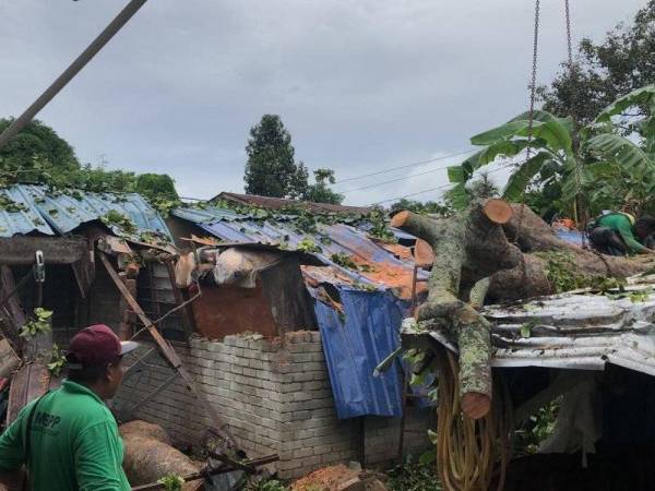 Enam buah rumah rosak apabila dihempap pokok dalam kejadian angin kuat pagi tadi.