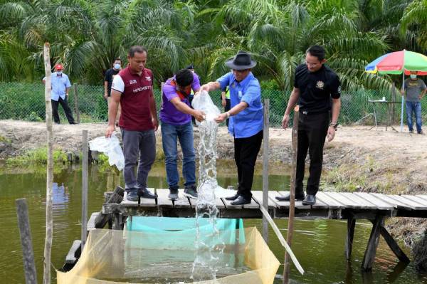 Permohonan Geran Agropreneur Muda Dibuka Sepanjang Tahun