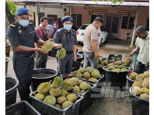 Penguat kuasa KPDNHEP dalam operasi dijalankan di Kampung Batu Balai, Jerantut semalam.