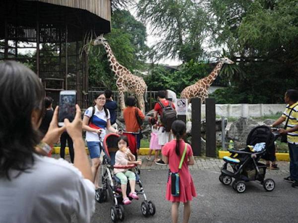 Zoo Negara - Foto fail Bernama