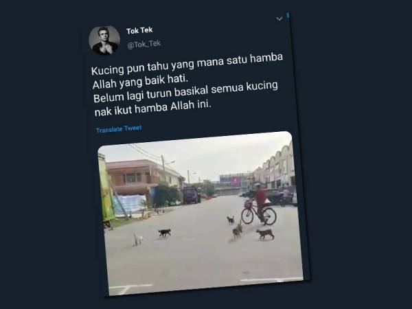 Paparan Twitter @Tok_Tek berkongsi sikap pemurah warga emas memberi makanan kepada kucing jalanan.