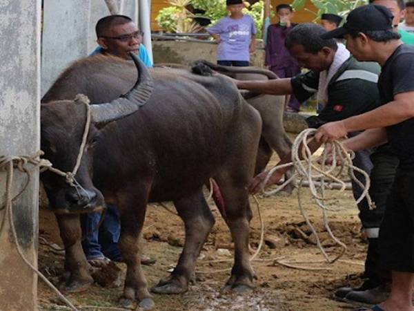 Gambar hiasan -Foto Bernama