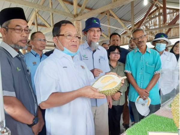 Ahmad (dua dari kiri) melihat jenis-jenis durian kampung premium yang dihasilkan seluruh negara di Kem Bukit Perjuangan Jelebu, semalam.