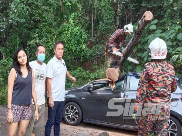 Lawrence (kanan) menunjukkan kereta milik Marissa (kiri) yang remuk dihempap pokok dalam kejadian semalam.