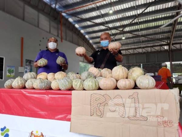 Kakitangan FAMA Pekan, Abdul Salim Mohd Ali (kiri) dan Anuar Mansor menunjukkan labu yang dijual pada harga RM1 sebiji di Pasar Tani Kekal Bandar Dara, Chini hari ini.