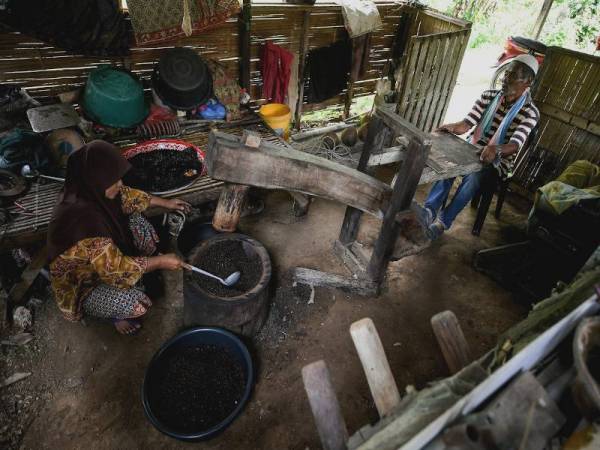 Mohd Sabiah menumbuk biji kopi menggunakan lesung hindik sebelum dikisar menggunakan mesin pengisar sehingga menjadi serbuk di Kampung Belantik Dalam, Sik. - Foto Bernama