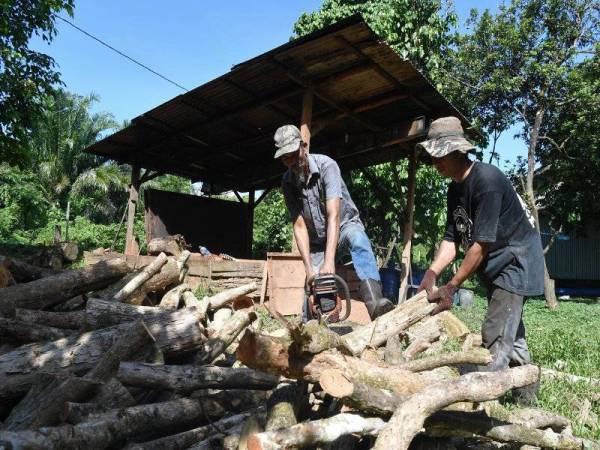 Muhd Dzaqwan (kanan) dan Sukry menjalankan perniagaan arang kayu sejak tiga tahun lalu di belakang rumah mereka selepas melihat kayu yang ditebang terbuang begitu sahaja.