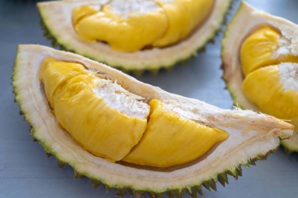 Sudah tiba masanya pihak kerajaan campur tangan memperkenalkan harga siling buah durian klon, mengikut gred. - Foto 123RF